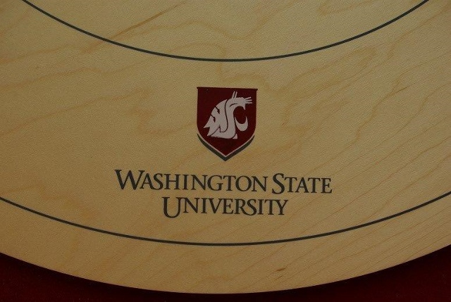 WSU board