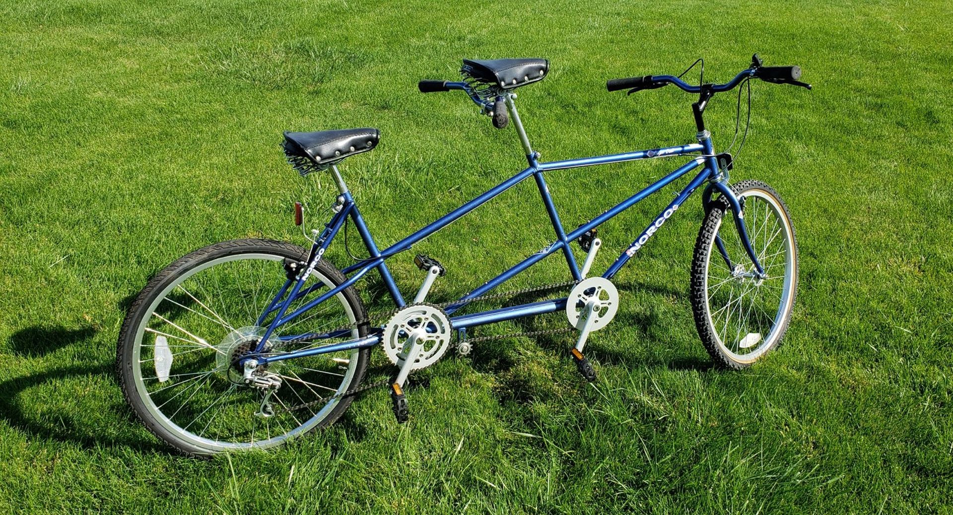 Bicycle Built for 2-image